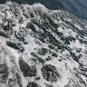 Meet your Posher, Melany